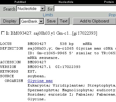 ncbi_glycine_datensatz.gif