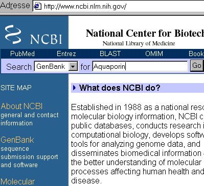 NCBI Homepage