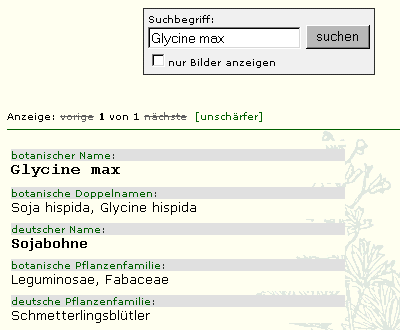 plantendb_glycine.gif