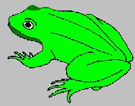 frosch6a.gif