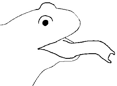 frosch9.gif