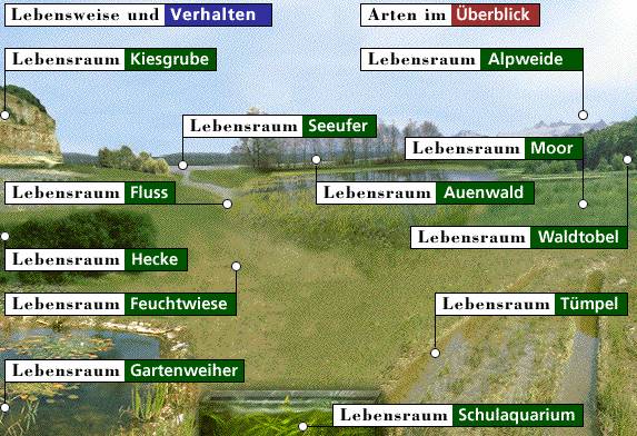 Eingangsbildschirm