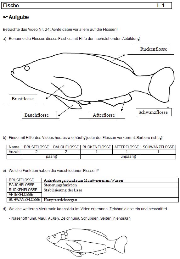 Lösungsblatt 1