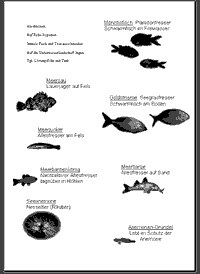 Fische7_LebensraumaufteilungFolieFischeMitText.gif Fische7_LebensraumaufteilungFolieFischeMitText.gif