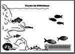 Fische7_LebensraumaufteilungLoesungsfolieOhneText.jpg Fische7_LebensraumaufteilungLoesungsfolieOhneText.jpg