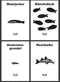 Fische7_LebensraumaufteilungTafelbilder.jpg Fische7_LebensraumaufteilungTafelbilder.jpg