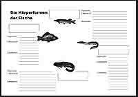 Fische2_LernzirkelSchuelerblatt.jpg Fische2_LernzirkelSchuelerblatt.jpg