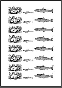 Fische4u5_FischzuchtSchnibbelbilder.gif Fische4u5_FischzuchtSchnibbelbilder.gif