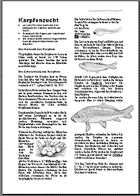 Fische4u5_GruppenpuzzleFischzucht1.gif
