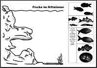 Fische7_LebensraumaufteilungSchuelerAB.jpg