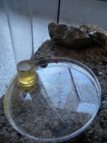 honigwasserspender_280.jpg
