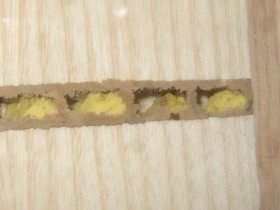 nisthilfe_mit_eiern6_280.jpg