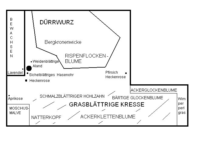 Pflanzplan Biotop Waldsaum Schickhardt-Gymnasium