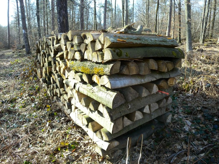 brennholzstapel_1024.jpg