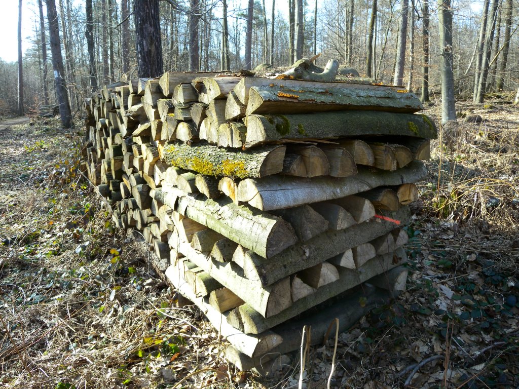 brennholzstapel_1024.jpg