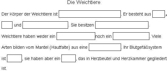 Lückentext