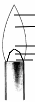 brenner5.gif