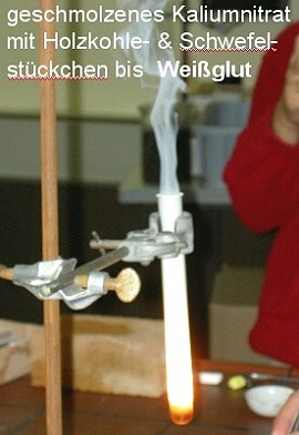 bild8.jpg