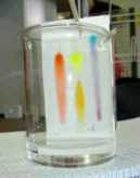 Papierchromatographie