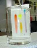 Papierchromatographie