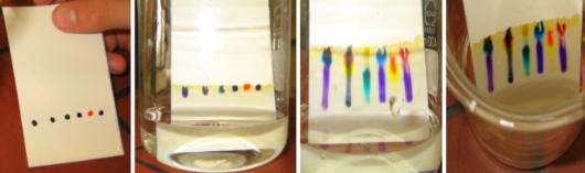 Versuchsablauf DC-Chromatographie