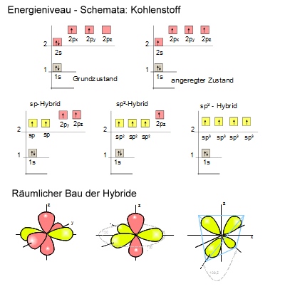 Hybridisierungen