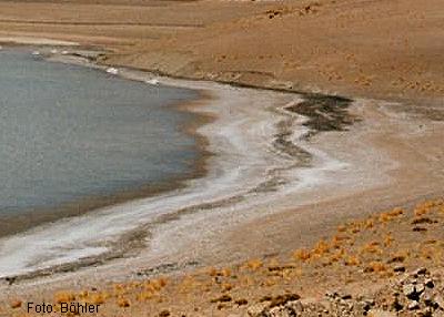 Salzsee Atacama