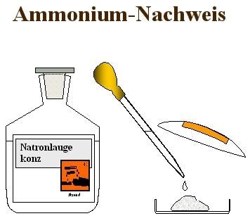 Ammonium Nachweis