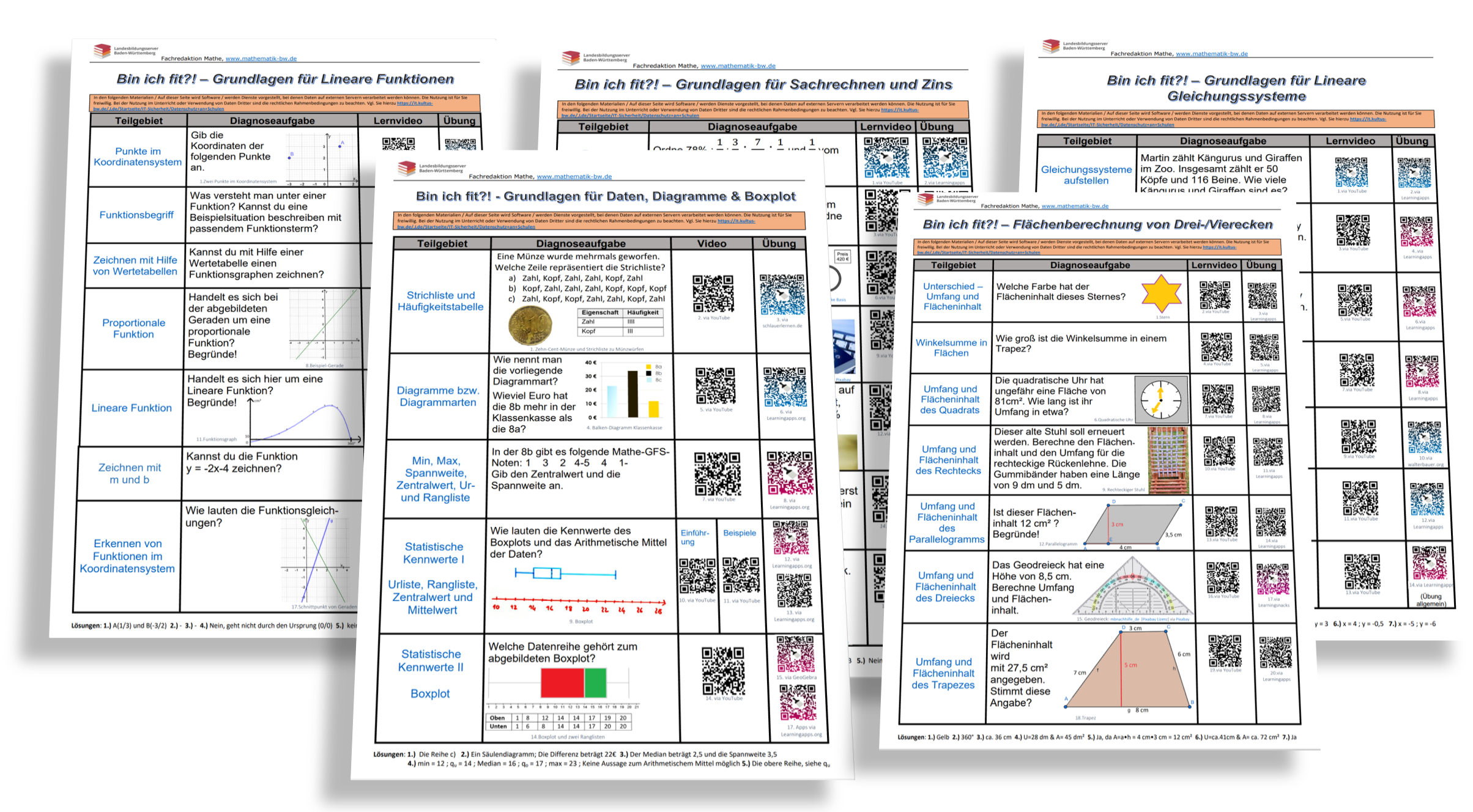 Zu sehen ist eine Collage aus den Interaktiven Checklisten für die Klassenstufe 8.