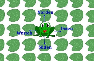 frosch_400x260.jpg