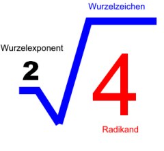 portalbild1.jpg