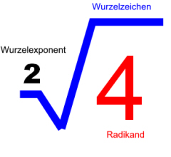 portalbild1.jpg