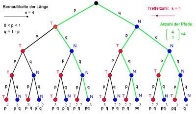 Baumdiagramm mit günstigen Pfaden