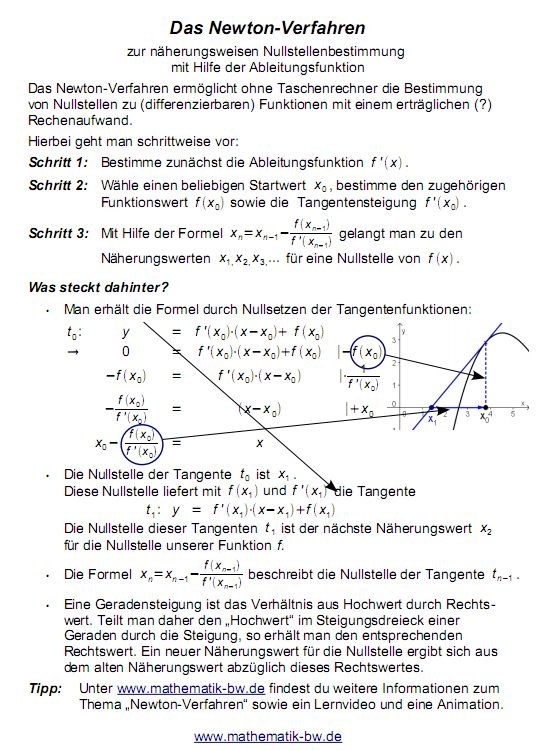 newton_550x750.jpg