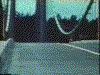 gerties.gif