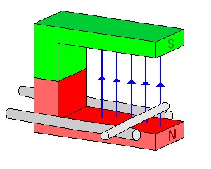 indani2.gif