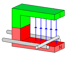 indani2.gif
