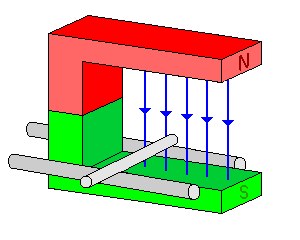 indani3.gif