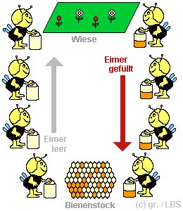 modell1.gif