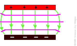 Feldlinien und Äquipotenziallinien