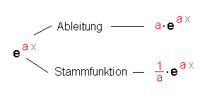 Ableitung und Stammfunktion der exp-Funktion