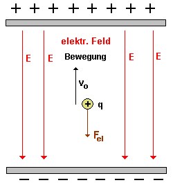 e_efeld_v12.gif