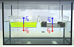 archimedes3.jpg
