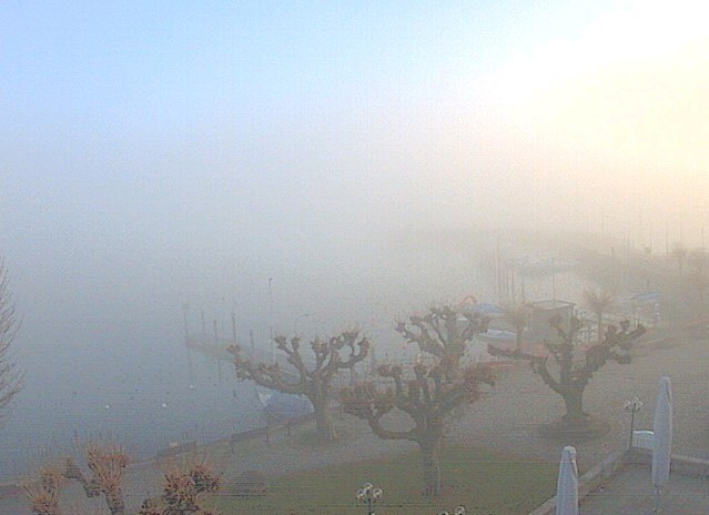 nebel_bodensee.jpg