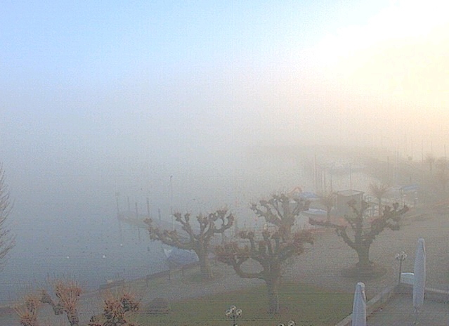 nebel_bodensee.jpg