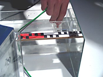 stehendewelle5.jpg