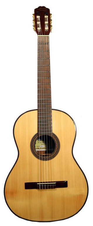 Gitarre