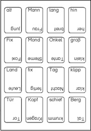 blaetter13.jpg