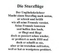 Der Sturzflug