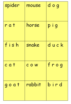 animals8.png